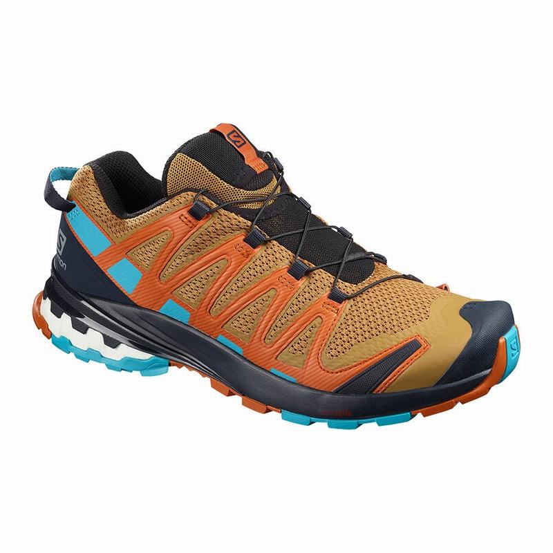 Salomon Trail Løbesko Herre Mørkeblå / Blå - XA PRO 3D V8 (XHIGJ-5426)